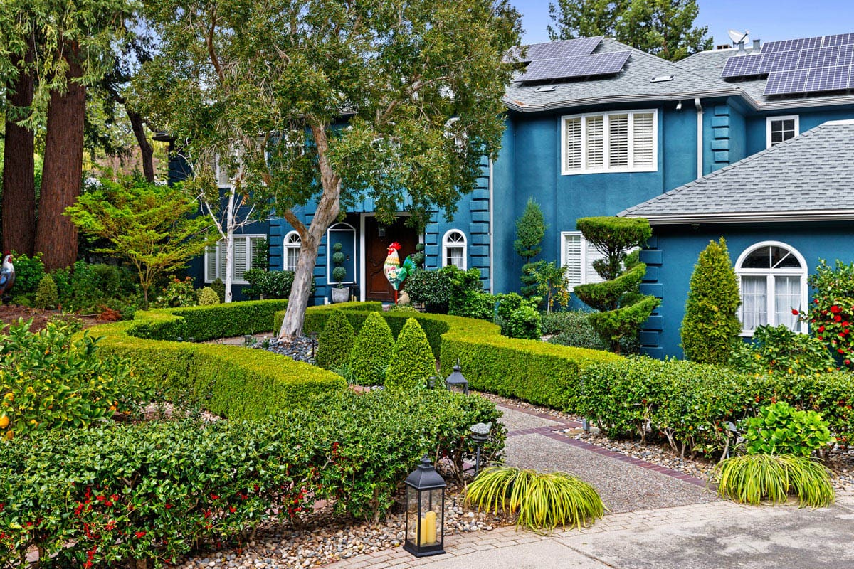 San-Jose-Tree-Services-Homepage-10