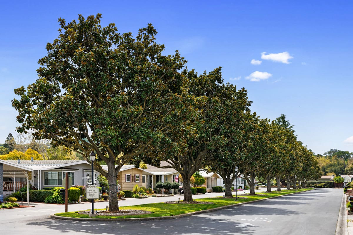 San-Jose-Tree-Services-Homepage-9