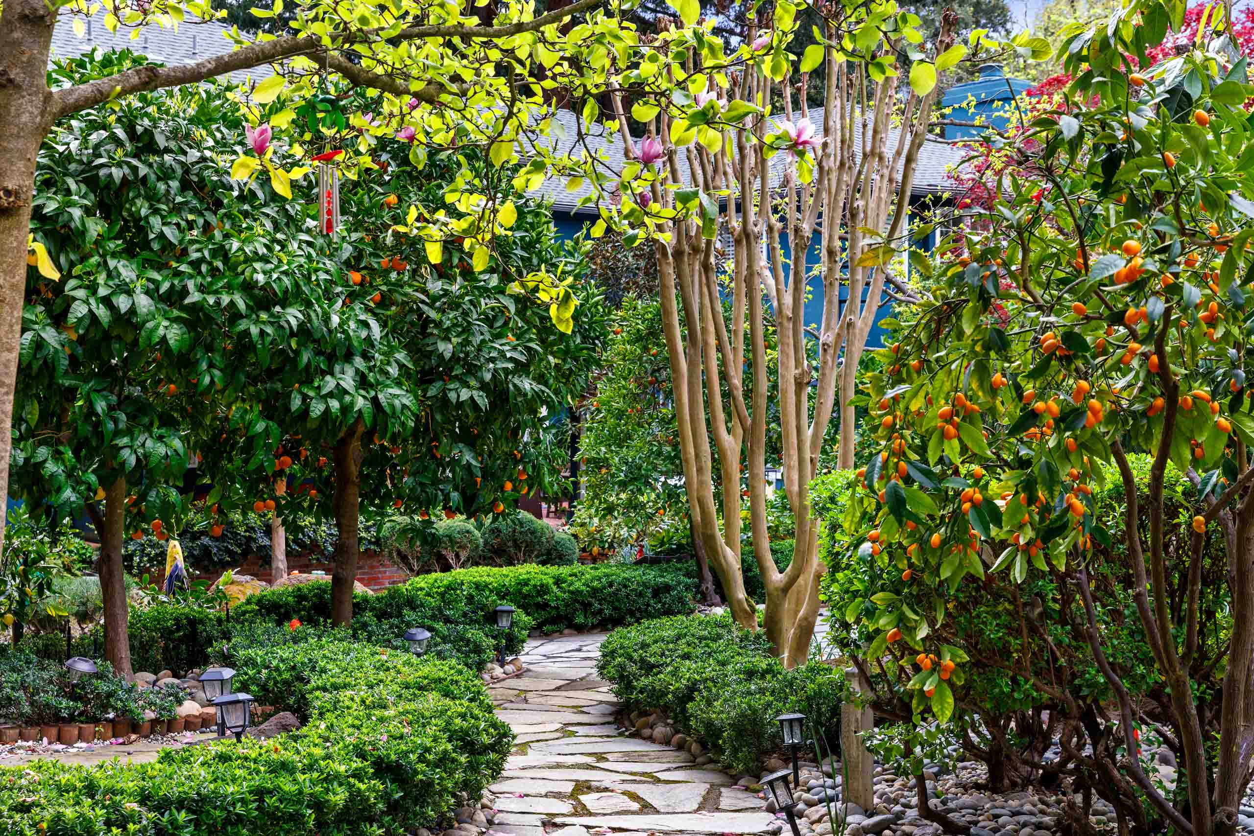 SanJoseTreeServiceInc_0042_