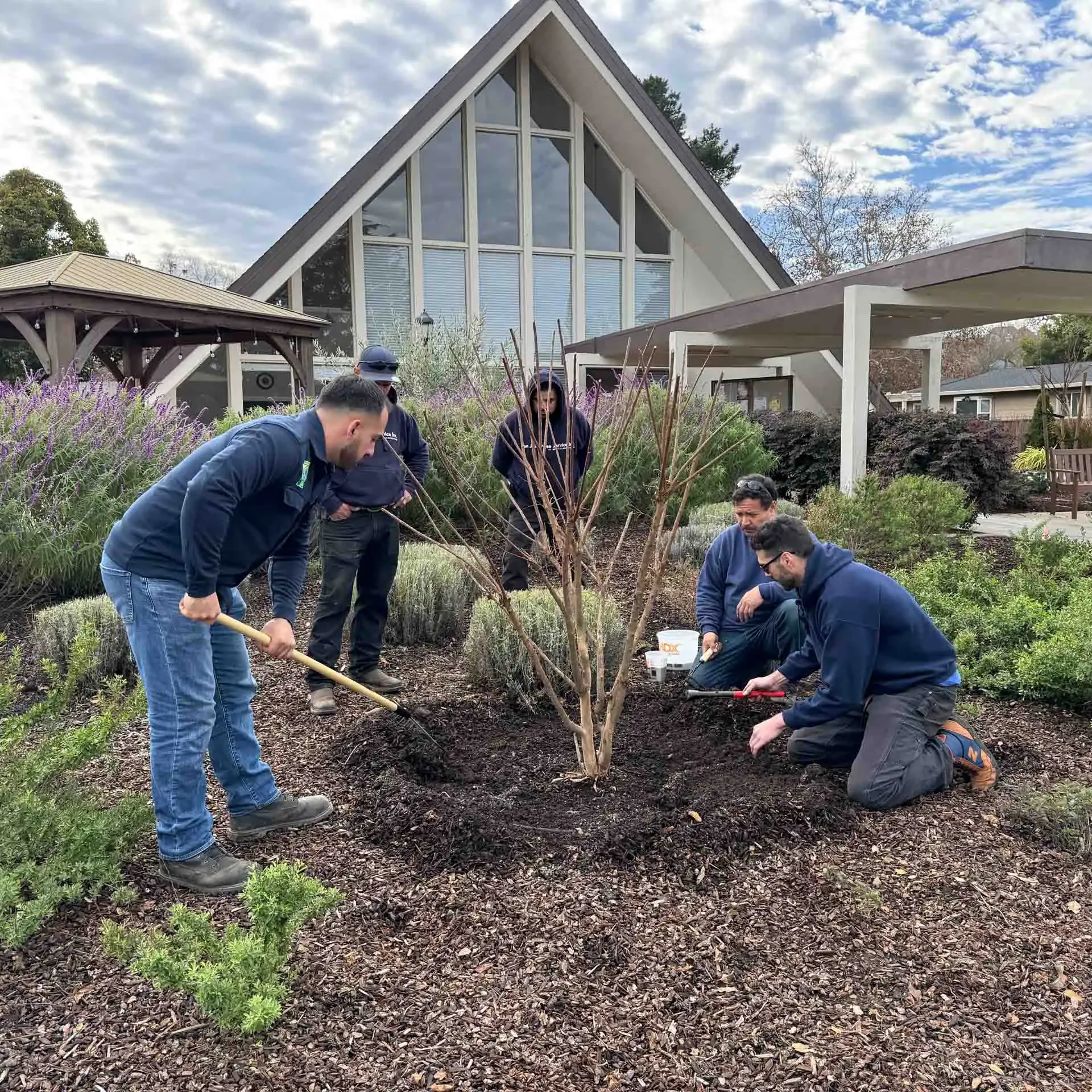 San Jose, CA Landscape Installation Services