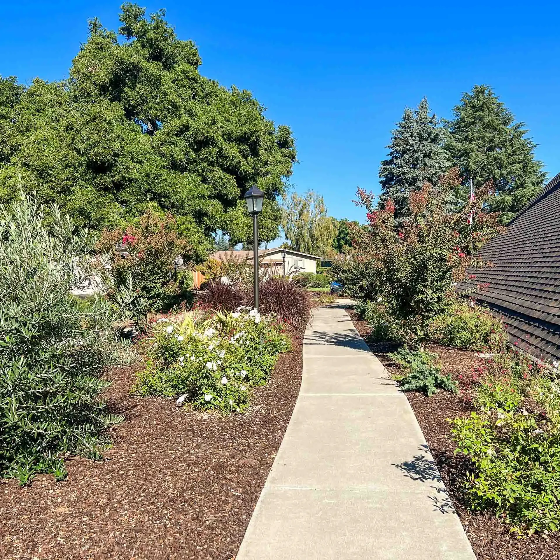 Mountain View, CA Lawn Care & Landscape Maintenance Company