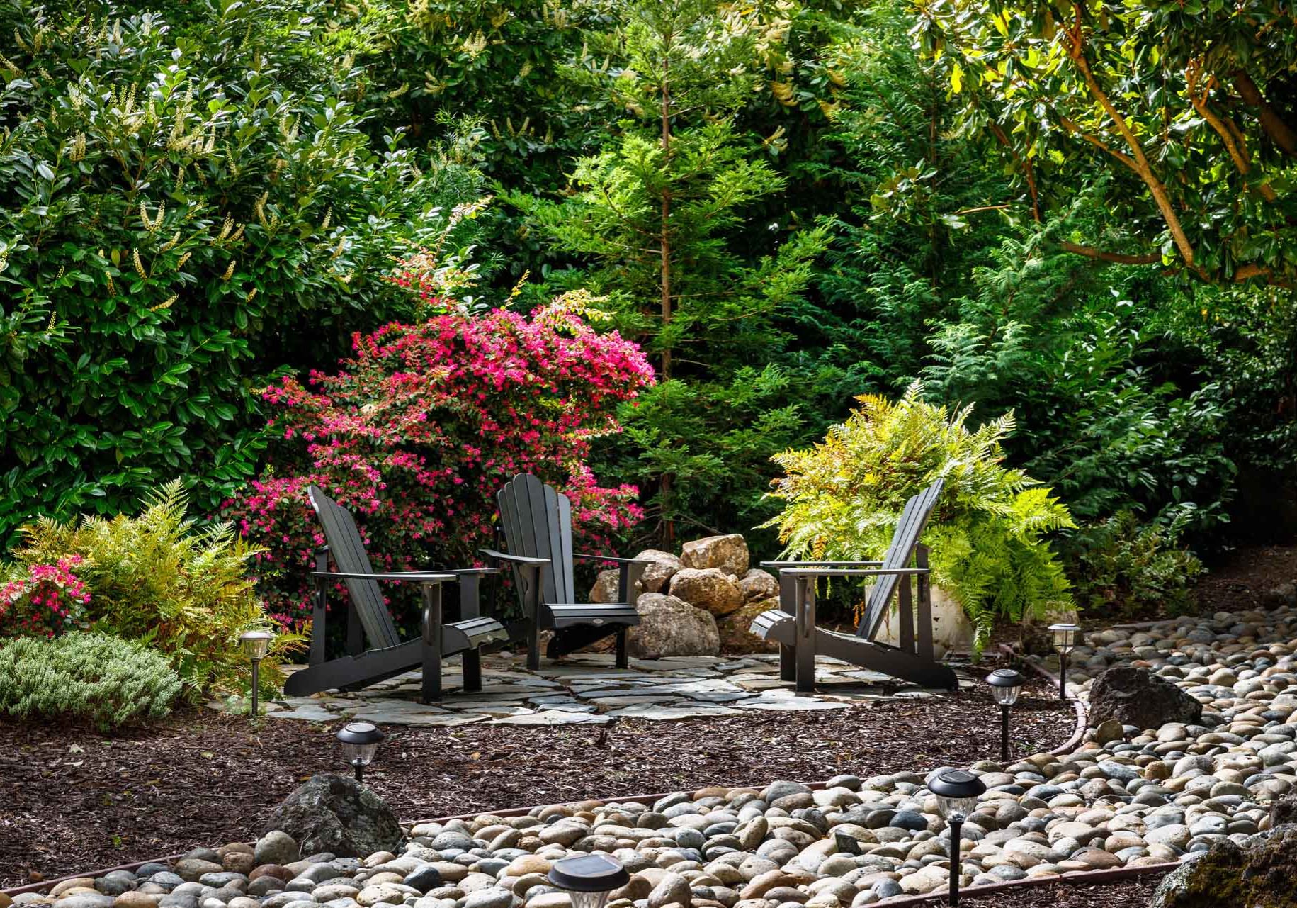 San-Jose-Tree-Services-Homepage-12