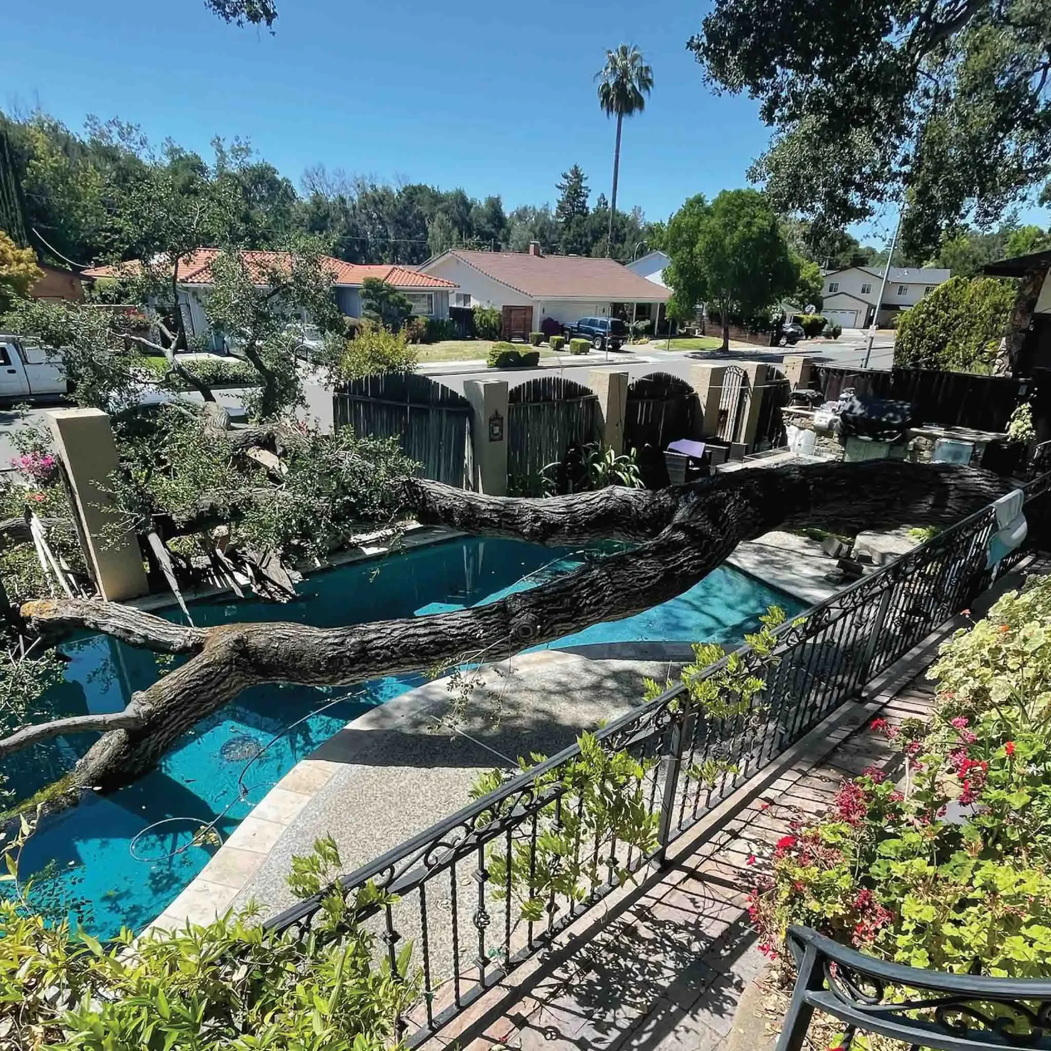 Tree-Removal-Emergency